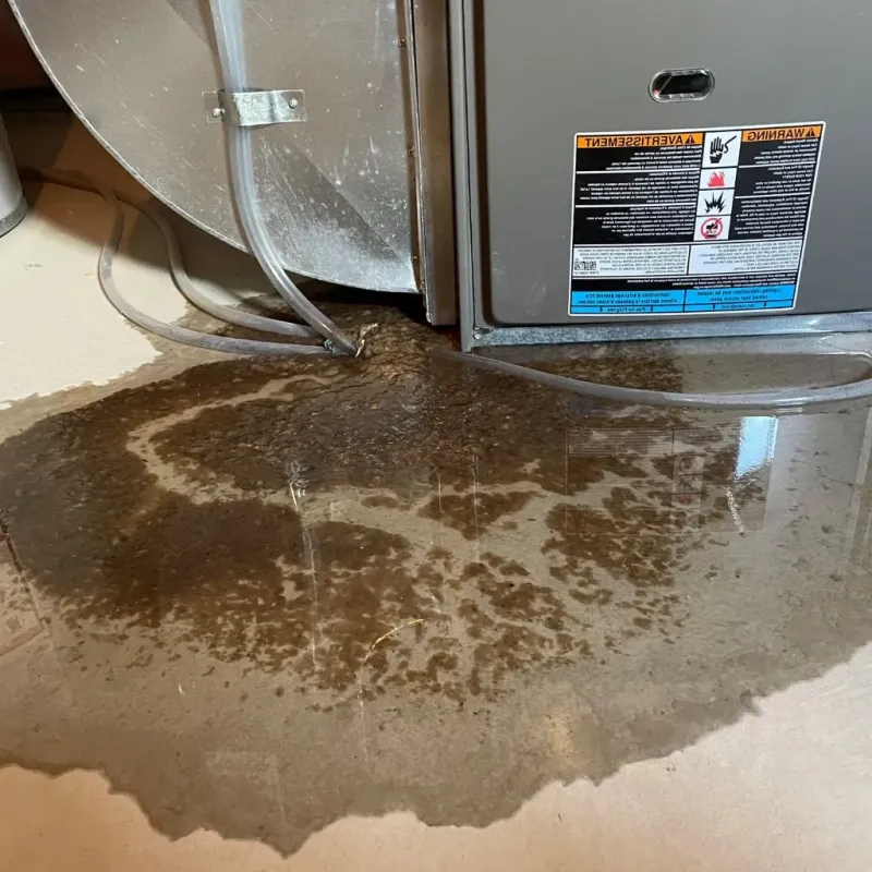 Pipe Burst and Leak Restoration in Navajo, NM
