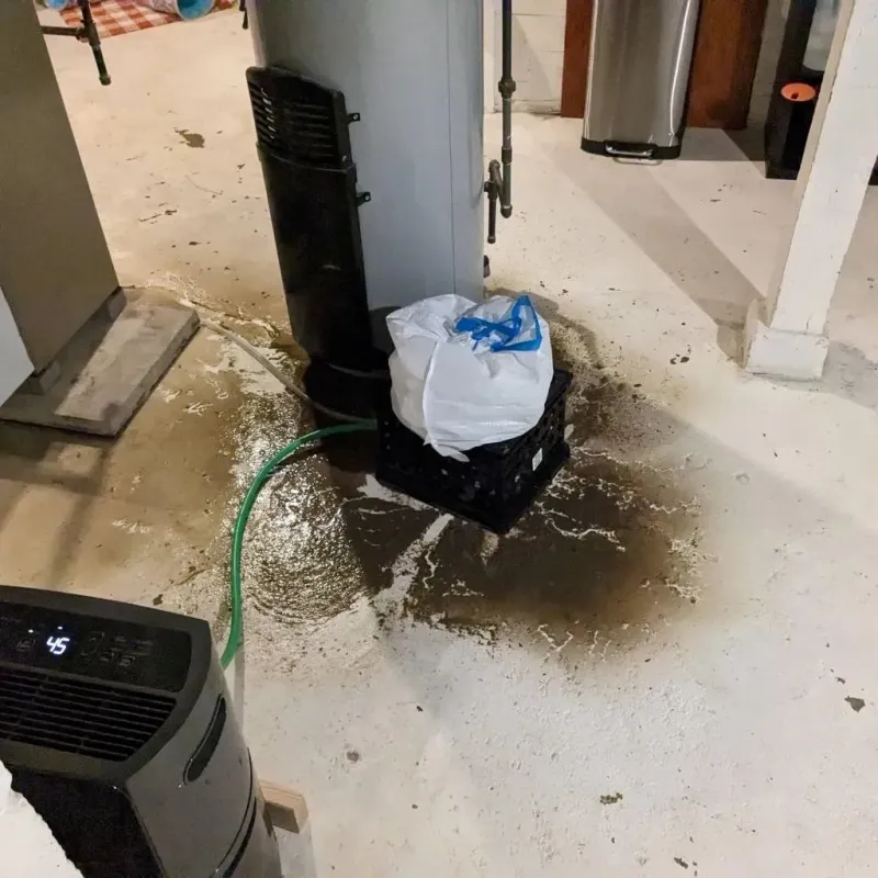 Sewage Backup Cleanup Service in Navajo, NM